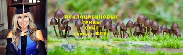 ешки Балахна