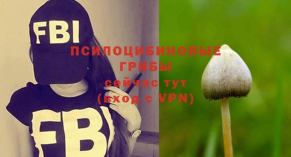ECSTASY Балабаново