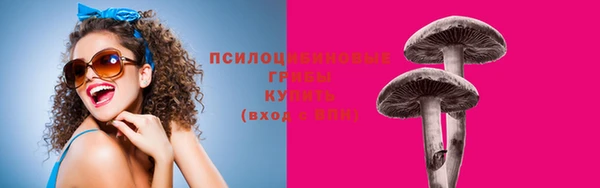 MESCALINE Аркадак