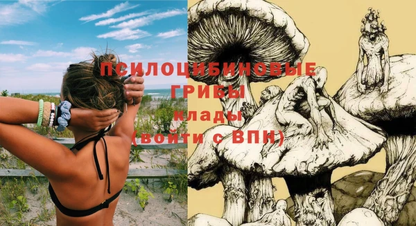 ECSTASY Балабаново