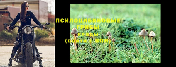 стафф Баксан
