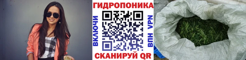 Бошки Шишки ГИДРОПОН  Волжск 